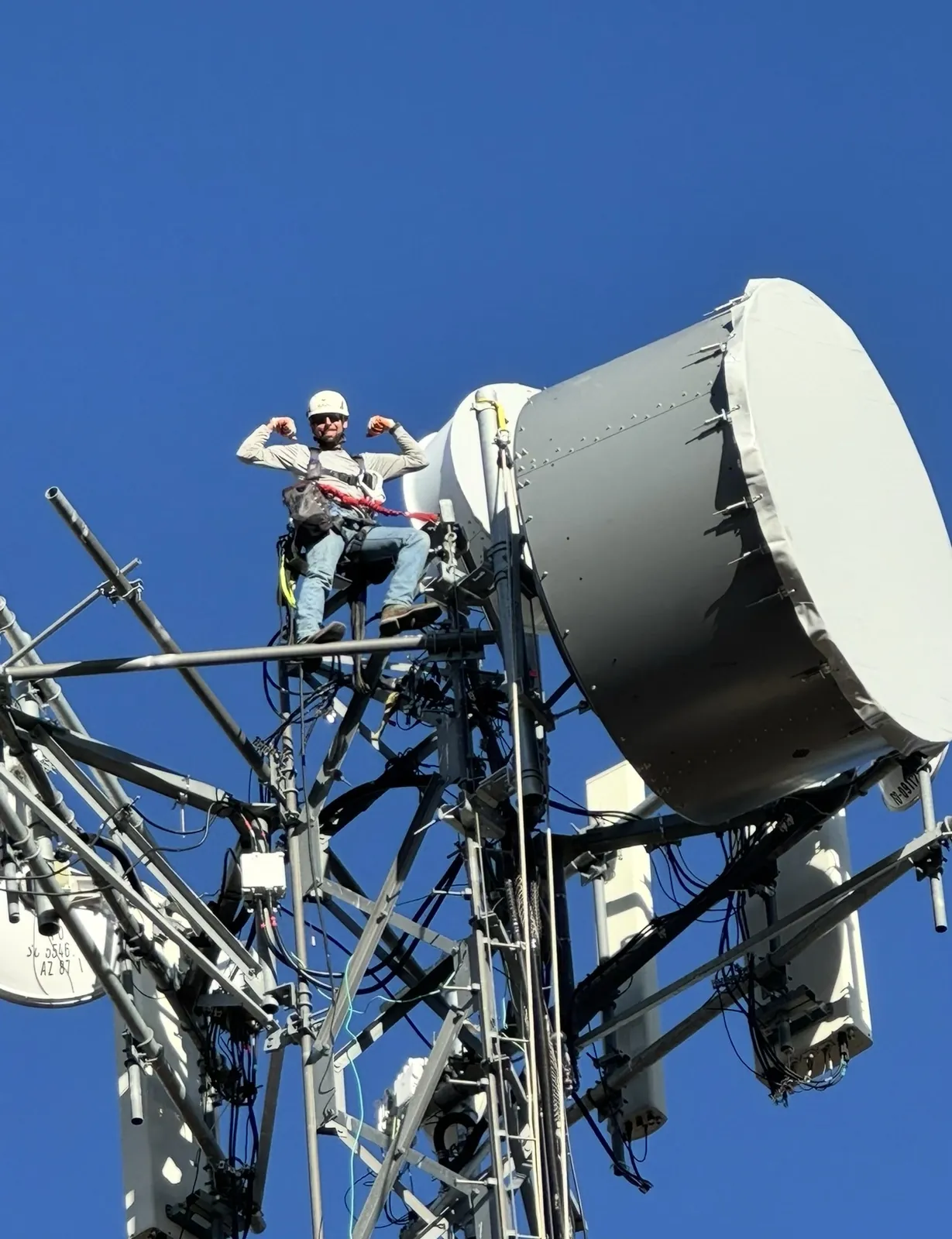 Premier tower technician flexing at the top of a tower beside a microwave dish
