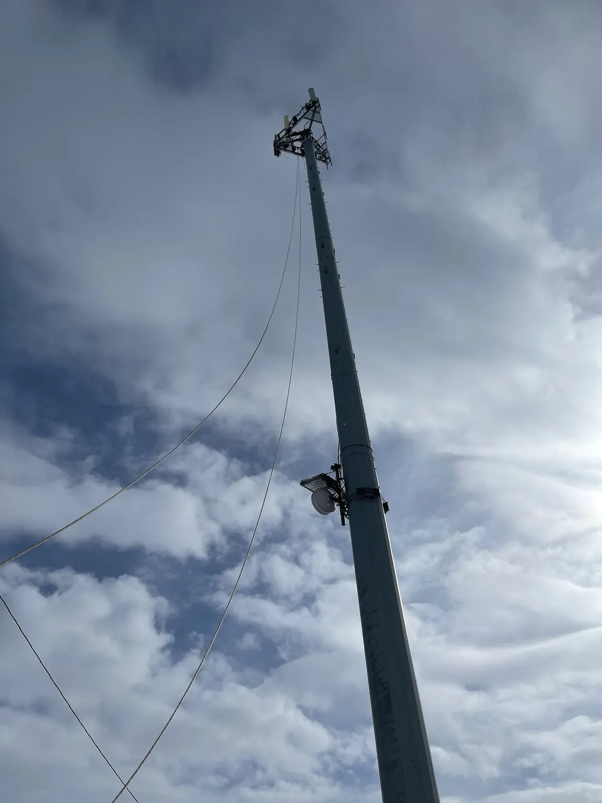 Galvanized monopole with antenna mount and microwave dish
